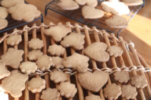 広島ママトリコ