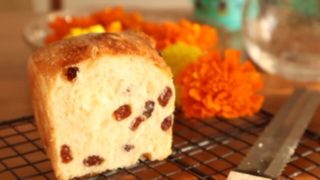 広島ままとママトリコ